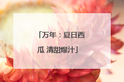 万年：夏日西瓜 清甜爆汁