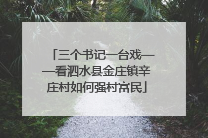 三个书记一台戏——看泗水县金庄镇辛庄村如何强村富民