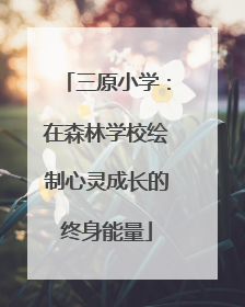 三原小学：在森林学校绘制心灵成长的终身能量