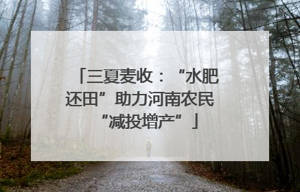 三夏麦收：“水肥还田”助力河南农民“减投增产”