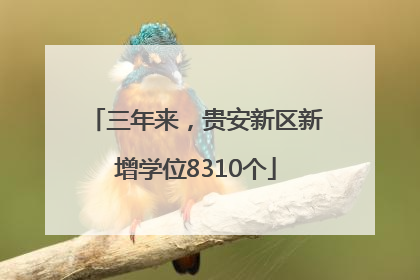 三年来，贵安新区新增学位8310个