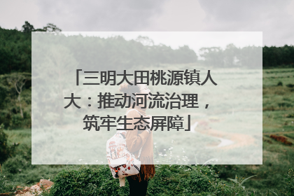 三明大田桃源镇人大：推动河流治理，筑牢生态屏障