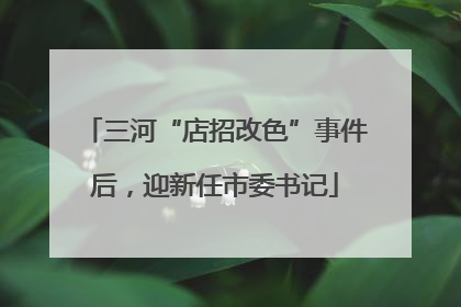 三河“店招改色”事件后，迎新任市委书记