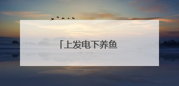 上发电下养鱼 废坑塘巧生金