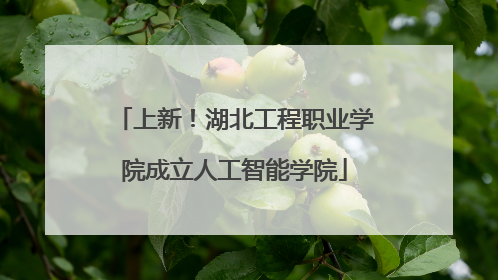 上新！湖北工程职业学院成立人工智能学院