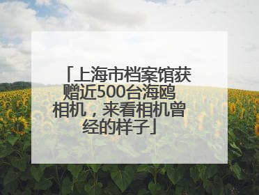 上海市档案馆获赠近500台海鸥相机，来看相机曾经的样子