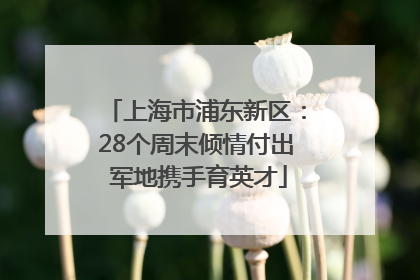 上海市浦东新区：28个周末倾情付出 军地携手育英才