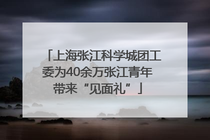 上海张江科学城团工委为40余万张江青年带来“见面礼”