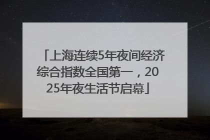 上海连续5年夜间经济综合指数全国第一，2025年夜生活节启幕