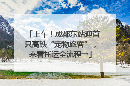 上车！成都东站迎首只高铁“宠物旅客”，来看托运全流程→