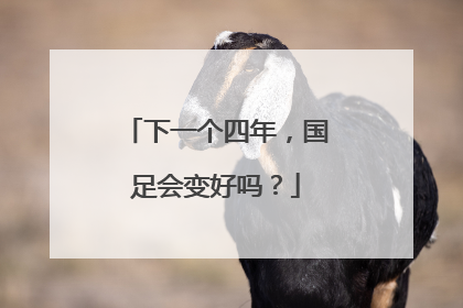 下一个四年，国足会变好吗？