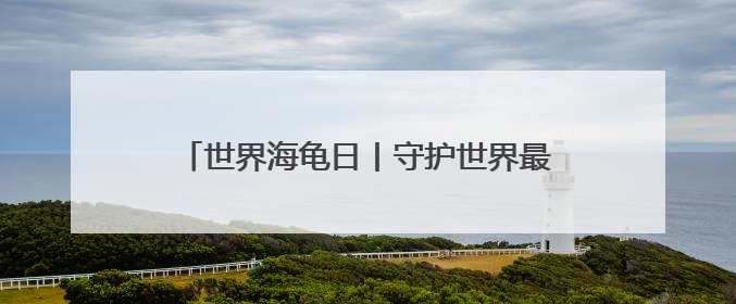 世界海龟日丨守护世界最大海龟产卵 特多“守夜人”坚守海滩30多年
