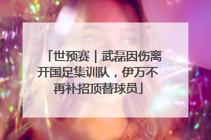 世预赛｜武磊因伤离开国足集训队，伊万不再补招顶替球员