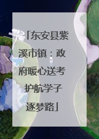 东安县紫溪市镇：政府暖心送考 护航学子逐梦路