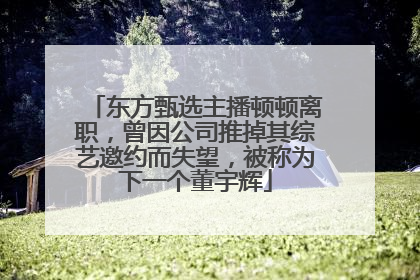 东方甄选主播顿顿离职，曾因公司推掉其综艺邀约而失望，被称为下一个董宇辉