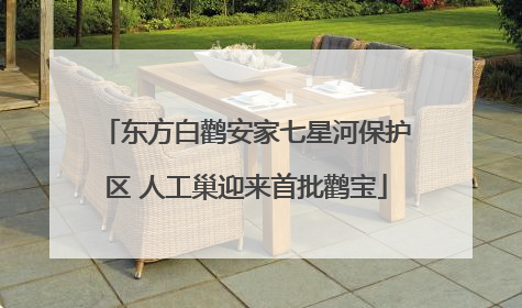 东方白鹳安家七星河保护区 人工巢迎来首批鹳宝