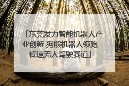 东莞发力智能机器人产业创新 狗熊机器人领跑低速无人驾驶赛道