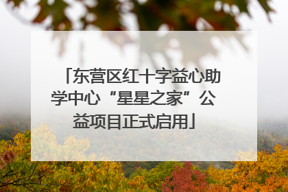 东营区红十字益心助学中心“星星之家”公益项目正式启用