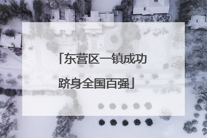 东营区一镇成功跻身全国百强