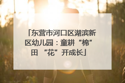 东营市河口区湖滨新区幼儿园：童耕“棉”田 “花”开成长