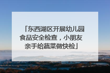 东西湖区开展幼儿园食品安全检查，小朋友亲手给蔬菜做快检