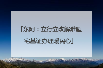 东阿：立行立改解难题 宅基证办理暖民心