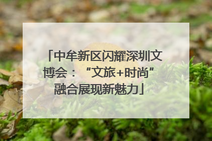 中牟新区闪耀深圳文博会：“文旅+时尚”融合展现新魅力