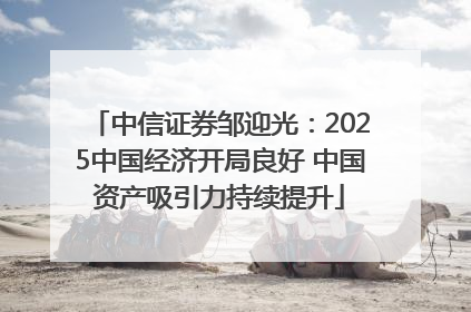 中信证券邹迎光：2025中国经济开局良好 中国资产吸引力持续提升