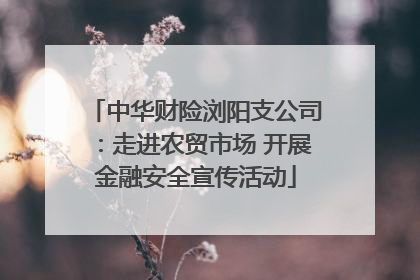 中华财险浏阳支公司：走进农贸市场 开展金融安全宣传活动