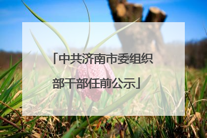 中共济南市委组织部干部任前公示