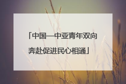 中国—中亚青年双向奔赴促进民心相通