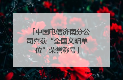 中国电信济南分公司喜获“全国文明单位”荣誉称号
