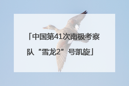 中国第41次南极考察队“雪龙2”号凯旋
