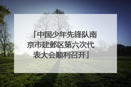 中国少年先锋队南京市建邺区第六次代表大会顺利召开