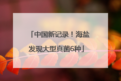 中国新记录！海盐发现大型真菌6种