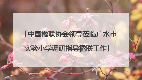 中国楹联协会领导莅临广水市实验小学调研指导楹联工作