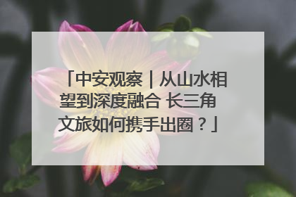中安观察｜从山水相望到深度融合 长三角文旅如何携手出圈？