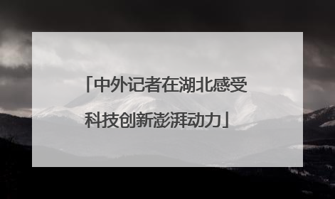 中外记者在湖北感受科技创新澎湃动力