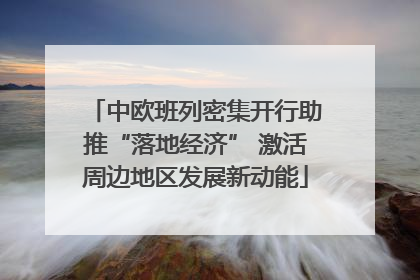 中欧班列密集开行助推“落地经济” 激活周边地区发展新动能