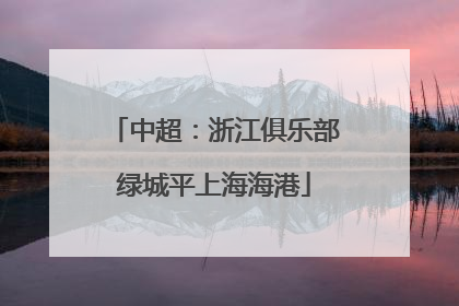 中超：浙江俱乐部绿城平上海海港