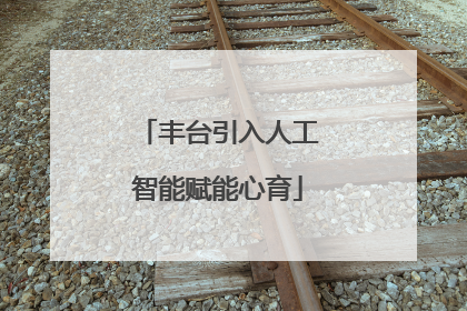 丰台引入人工智能赋能心育