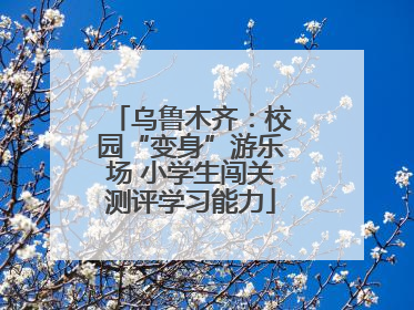 乌鲁木齐：校园“变身”游乐场 小学生闯关测评学习能力
