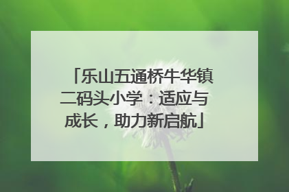 乐山五通桥牛华镇二码头小学：适应与成长，助力新启航