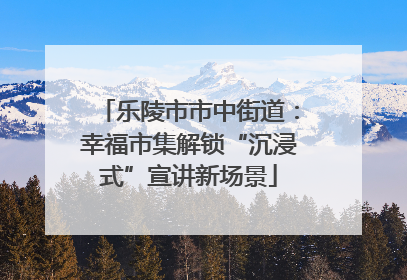 乐陵市市中街道：幸福市集解锁“沉浸式”宣讲新场景