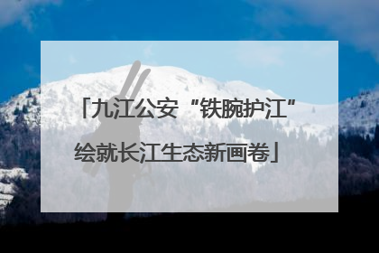 九江公安“铁腕护江”绘就长江生态新画卷