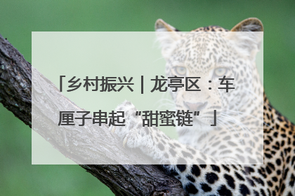 乡村振兴｜龙亭区：车厘子串起“甜蜜链”