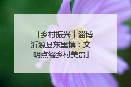 乡村振兴︱淄博沂源县东里镇：文明点缀乡村美景