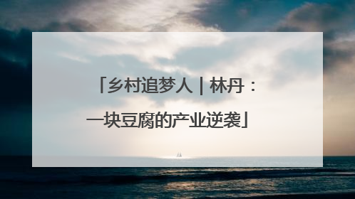 乡村追梦人｜林丹：一块豆腐的产业逆袭