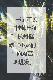 书记市长“挂帅出征” 杭州催动“小龙们”向AI高地进发