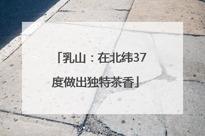 乳山：在北纬37度做出独特茶香
